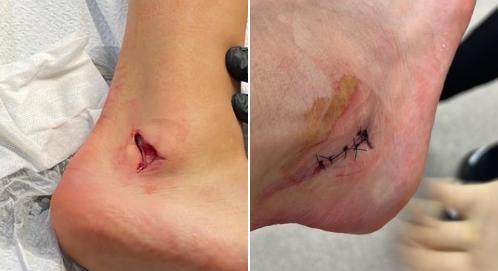 1641908379853043302.png 达洛特.png